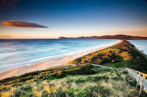 Bruny Island Private Charter Service - Accommodation Search 0
