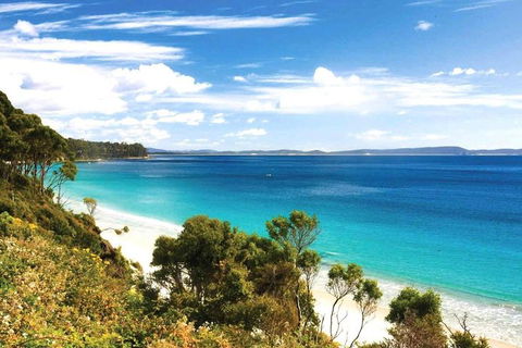 Bruny Island Private Charter Service - Accommodation Search 1