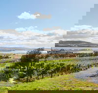 Launceston Wine  Sightseeing Tours - Accommodation Search