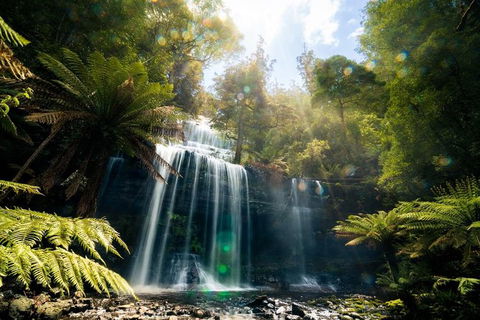 Mount Field Private Charter Service - Accommodation Search 2