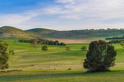 Mount Field Private Charter Service - Accommodation Search 4