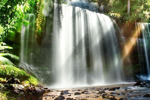 Mount Field Private Charter Service - Accommodation Search 0