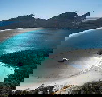 Highlights of Tasmania Premium Small Group 7 Days Touring Package - Accommodation Search