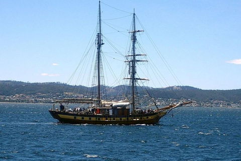 Splendid! Historical Tours Of Hobart - Accommodation Search 8