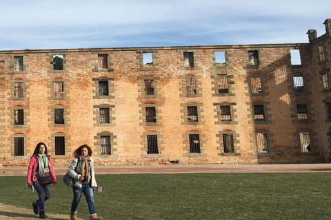 Discover Hobart: Port Arthur And Lavender Farm 1 Day Tour - Accommodation Search 4