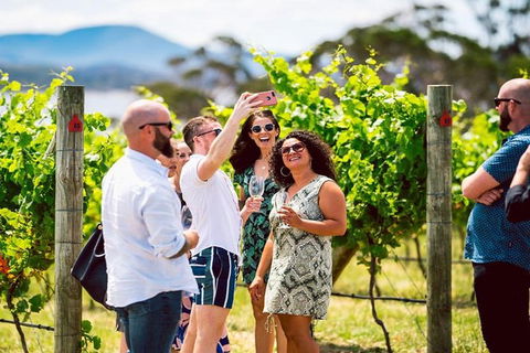 Hobart: Highlights Of Tasmanian Wine Full Day Tour - Accommodation Search 3