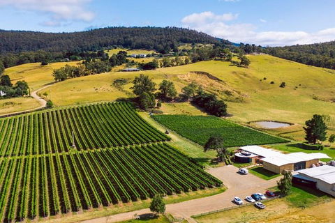 Hobart: Highlights Of Tasmanian Wine Full Day Tour - Accommodation Search 4