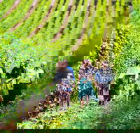 Hobart Highlights of Tasmanian Wine Full Day Tour - Accommodation Search