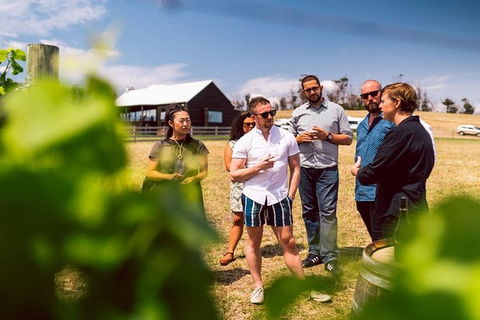 Hobart: Highlights Of Tasmanian Wine Full Day Tour - Accommodation Search 2