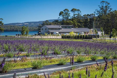 Private Hobart Discover South East Food And Scenic Tour - Accommodation Search 3