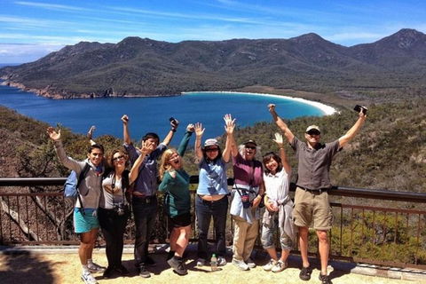 Half-Day Tour To Wineglass Bay From Launceston With Guide - Accommodation Search 5