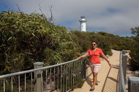 Half-Day Tour To Wineglass Bay From Launceston With Guide - Accommodation Search 2
