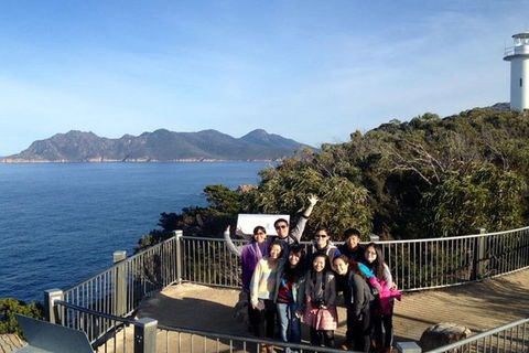 Half-Day Tour To Wineglass Bay From Launceston With Guide - Accommodation Search 3