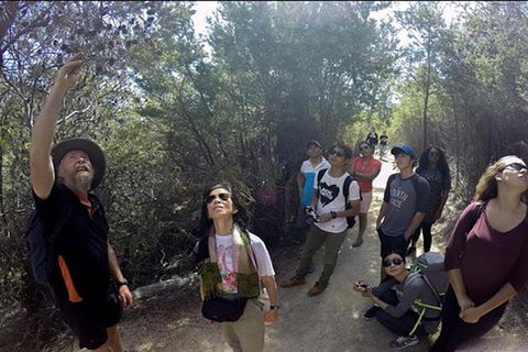 Half-Day Tour To Wineglass Bay From Launceston With Guide - Accommodation Search 1