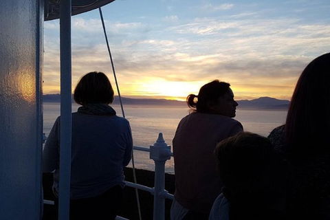 2.5-Hour Sunset At Cape Bruny Lighthouse Tour - Accommodation Search 1