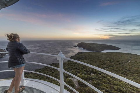 2.5-Hour Sunset At Cape Bruny Lighthouse Tour - Accommodation Search 0
