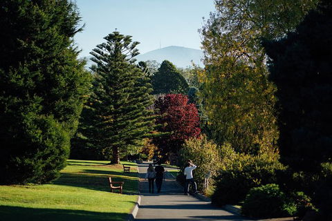 Private Royal Tasmanian Botanical Gardens Walking Tour - Accommodation Search 3