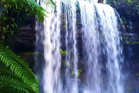Hobart Minibus Full-Day Private Tour - Accommodation Search 5