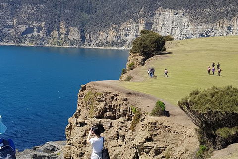 Hobart Minibus Full-Day Private Tour - Accommodation Search 1