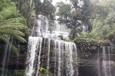 6-Day Small-Group Hearty Tasmania Tour From Hobart - Accommodation Search 5