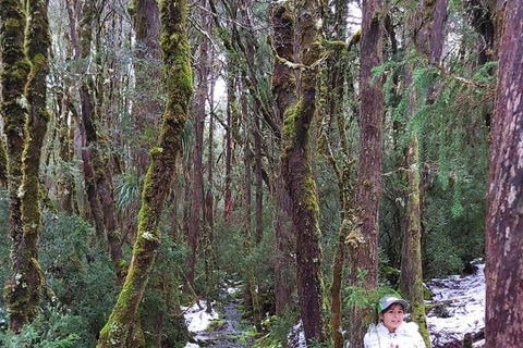 6-Day Small-Group Hearty Tasmania Tour From Hobart - Accommodation Search 2