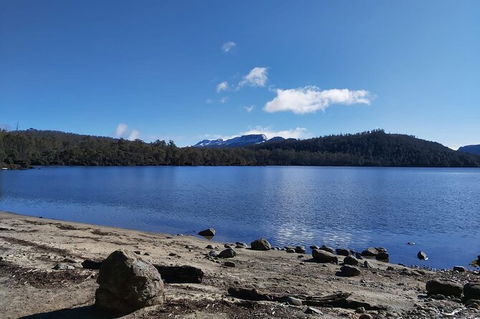 6-Day Small-Group Hearty Tasmania Tour From Hobart - Accommodation Search 4