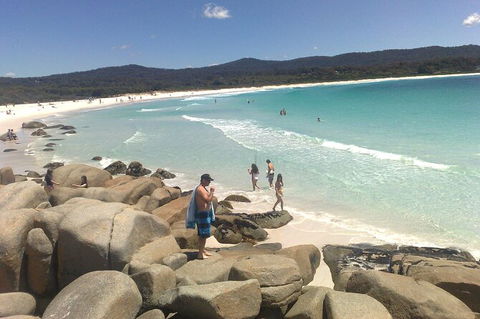 6-Day Small-Group Hearty Tasmania Tour From Hobart - Accommodation Search 3