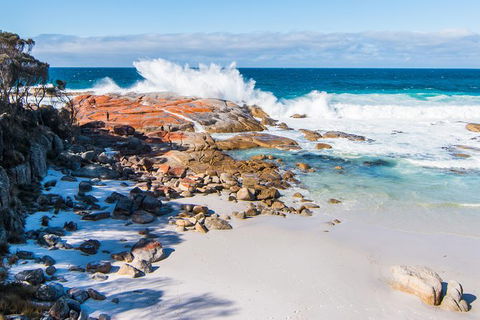 2-Day Tas East Coast Escape Tour Including Bay Of Fires, Wineglass Bay & Devils - Accommodation Search 6