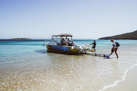 Sea & Explore Wineglass Bay & Freycinet National Park - Cruise & Walk - Accommodation Search 3