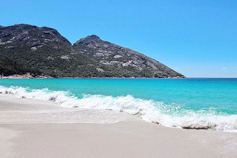 Sea & Explore Wineglass Bay & Freycinet National Park - Cruise & Walk - Accommodation Search 4