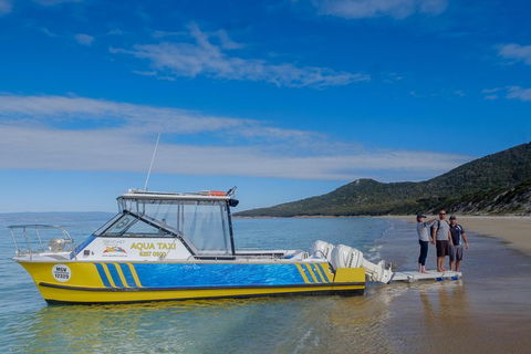 Sea & Explore Wineglass Bay & Freycinet National Park - Cruise & Walk - Accommodation Search 7