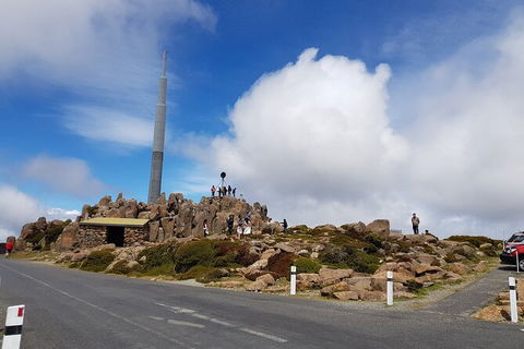 Mt. Wellington Morning Hike + Afternoon Beer & History Walk - Accommodation Search 21