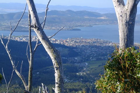 Mt. Wellington Morning Hike + Afternoon Beer & History Walk - Accommodation Search 10