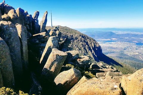 Mt. Wellington Morning Hike + Afternoon Beer & History Walk - Accommodation Search 11