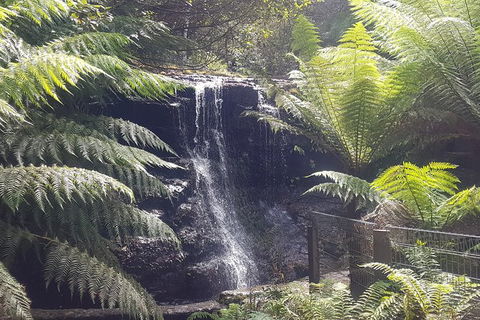 Mt. Wellington Morning Hike + Afternoon Beer & History Walk - Accommodation Search 16