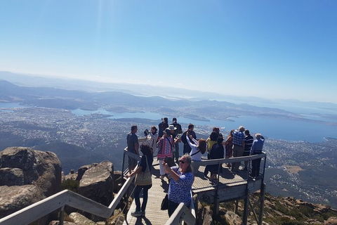 Mt. Wellington Morning Hike + Afternoon Beer & History Walk - Accommodation Search 2