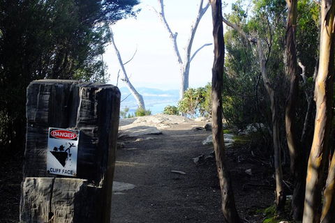 Mt. Wellington Morning Hike + Afternoon Beer & History Walk - Accommodation Search 14