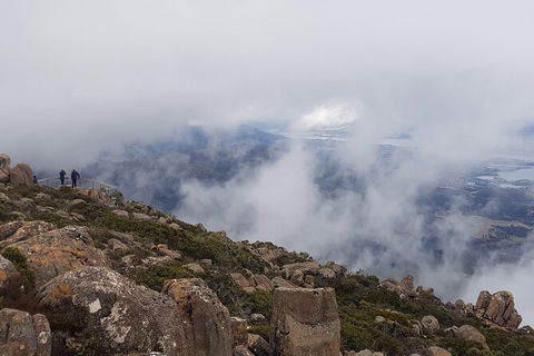 Mt. Wellington Morning Hike + Afternoon Beer & History Walk - Accommodation Search 18