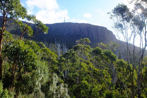 Mt. Wellington Morning Hike + Afternoon Beer & History Walk - Accommodation Search 4