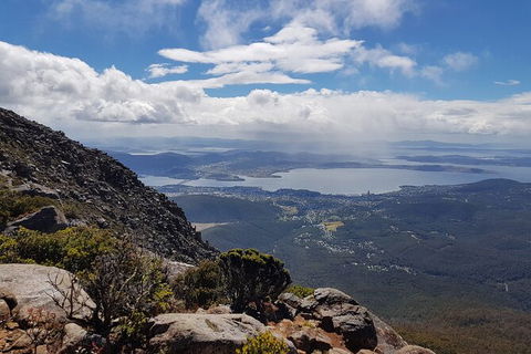 Mt. Wellington Morning Hike + Afternoon Beer & History Walk - Accommodation Search 5