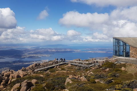 Mt. Wellington Morning Hike + Afternoon Beer & History Walk - Accommodation Search 3