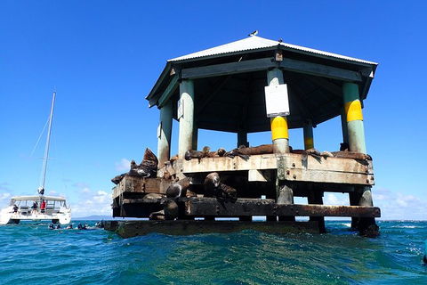 Sailing Cruise With Seals - Accommodation Search 1