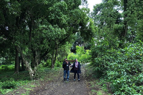 Alices Journeys Guided Walking Tours Of Daylesford - Accommodation Search 5