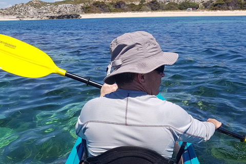 Rottnest Glass Bottom Kayaking Tour - Accommodation Search 1