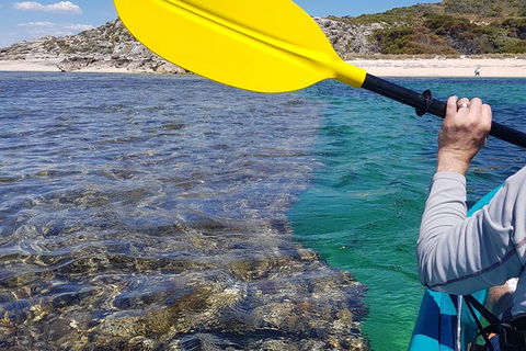 Rottnest Glass Bottom Kayaking Tour - Accommodation Search 3