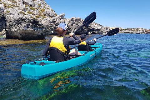 Rottnest Glass Bottom Kayaking Tour - Accommodation Search 4
