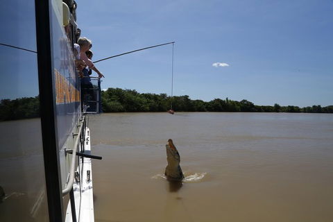 Darwin City Sights And Jumping Crocodile Cruise - Accommodation Search 2