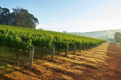 Botanical Gardens, Winery And Scenic Full Day Tour - Accommodation Search 2