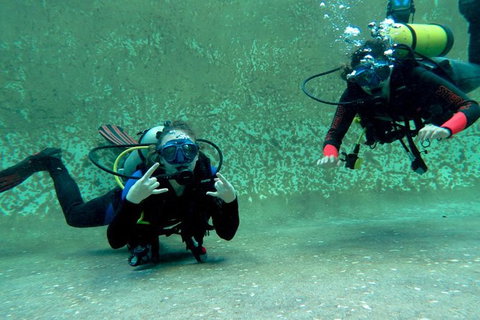 PADI Open Water Course - Accommodation Search 4