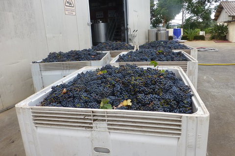 A Taste Of Margaret River Luxury Wine Tour - Accommodation Search 3